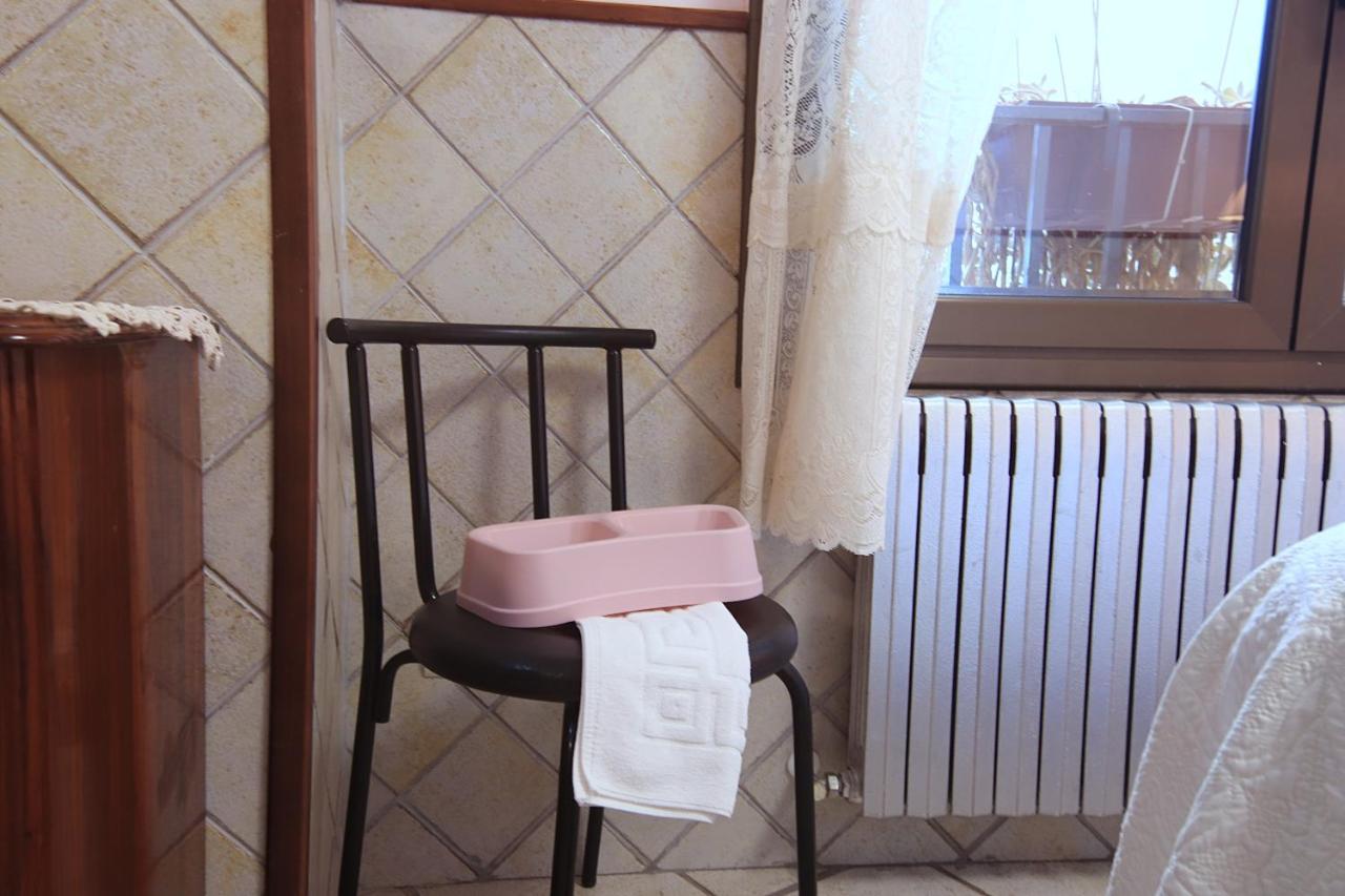 Estudios Casa Lola De Talarn Bagian luar foto