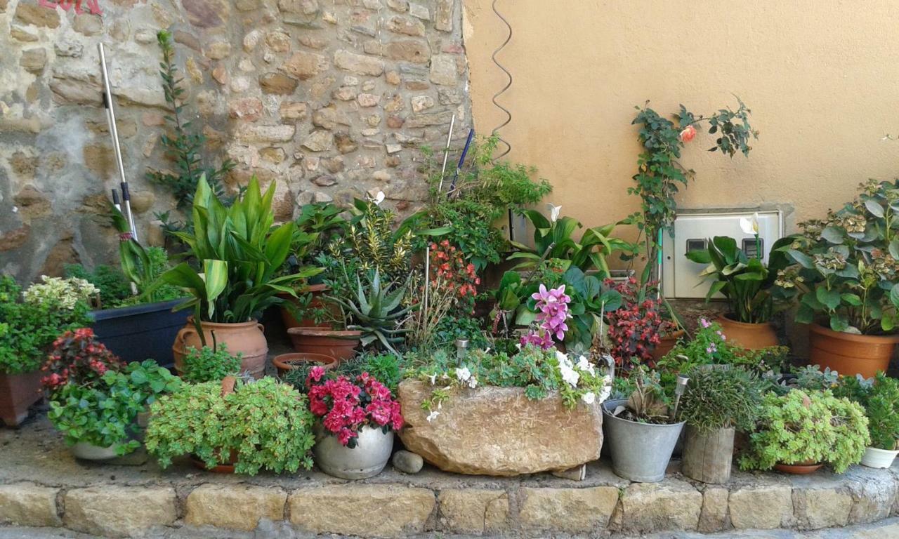 Estudios Casa Lola De Talarn Bagian luar foto